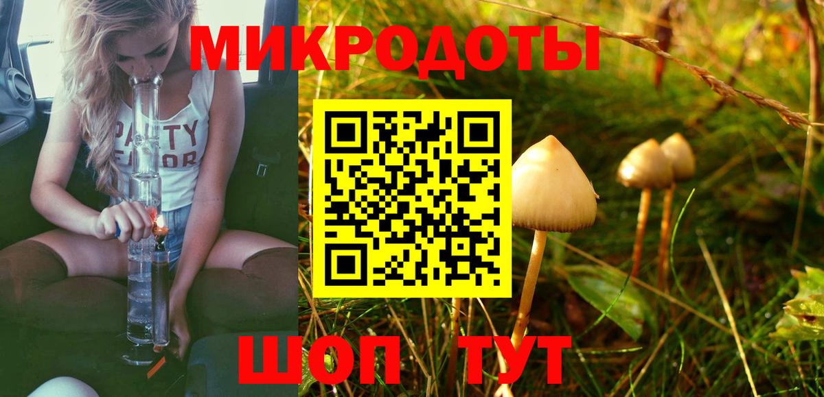 Псилоцибиновые грибы Cubensis  Вход с VPN  Майский 